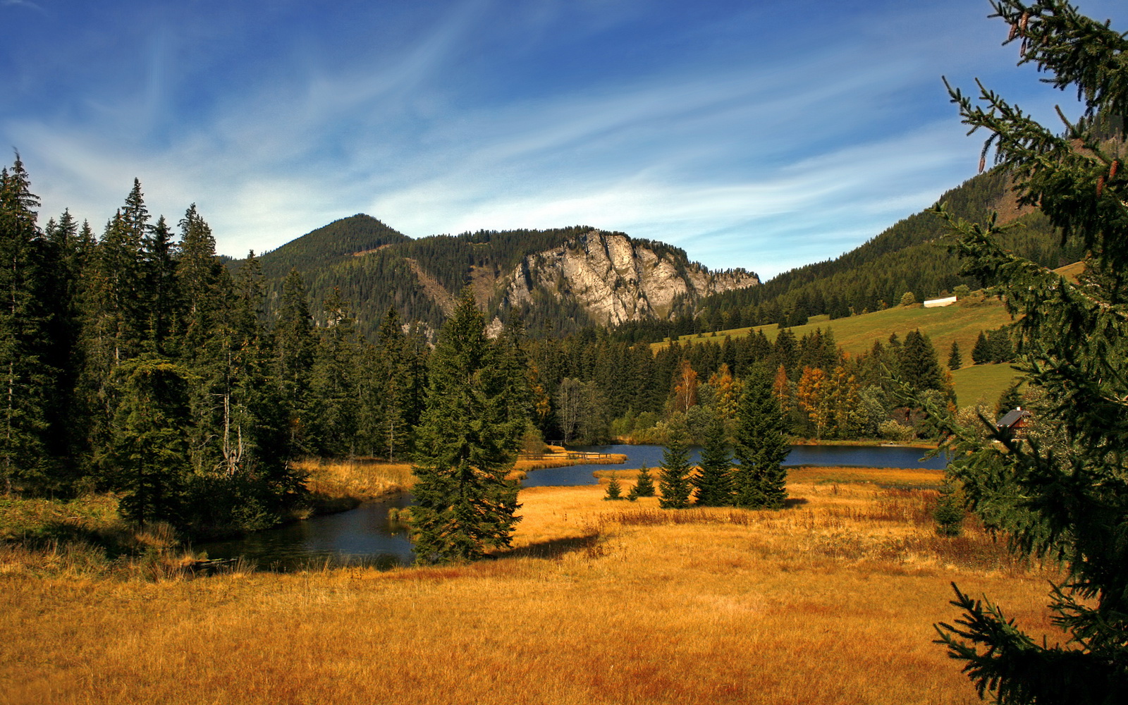 开云官网首页-《年度最震撼决赛回顾：谁才是真正的王者？》