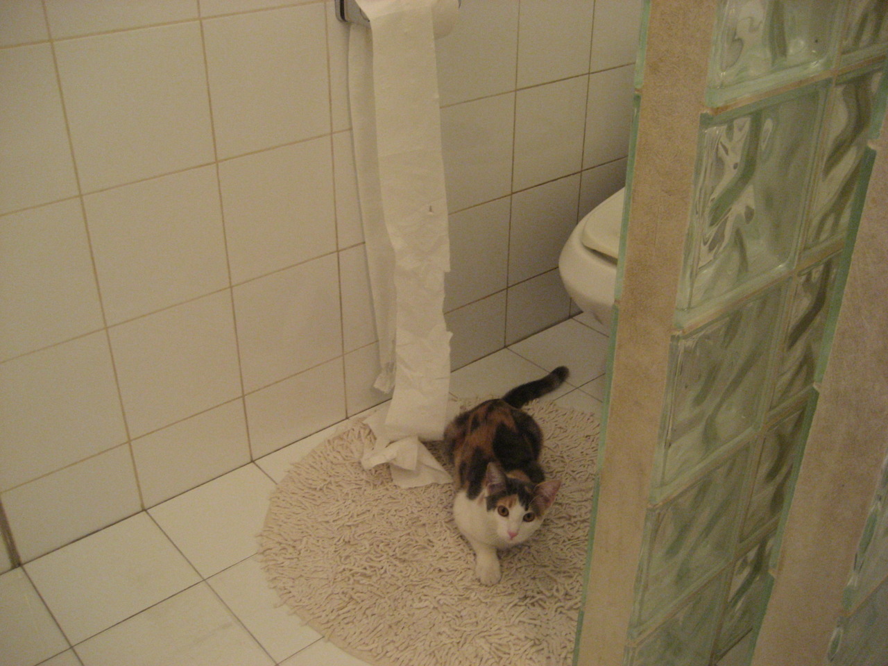 开云·体育官方网站入口-训练安排更注重实战演练不断优化比赛节奏与配合效率，简述比赛训练法的作用与注意事项